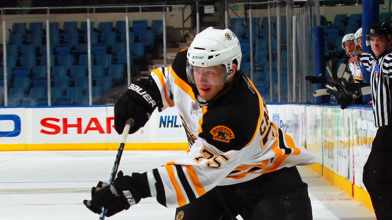 Roosters angeln sich Stürmer