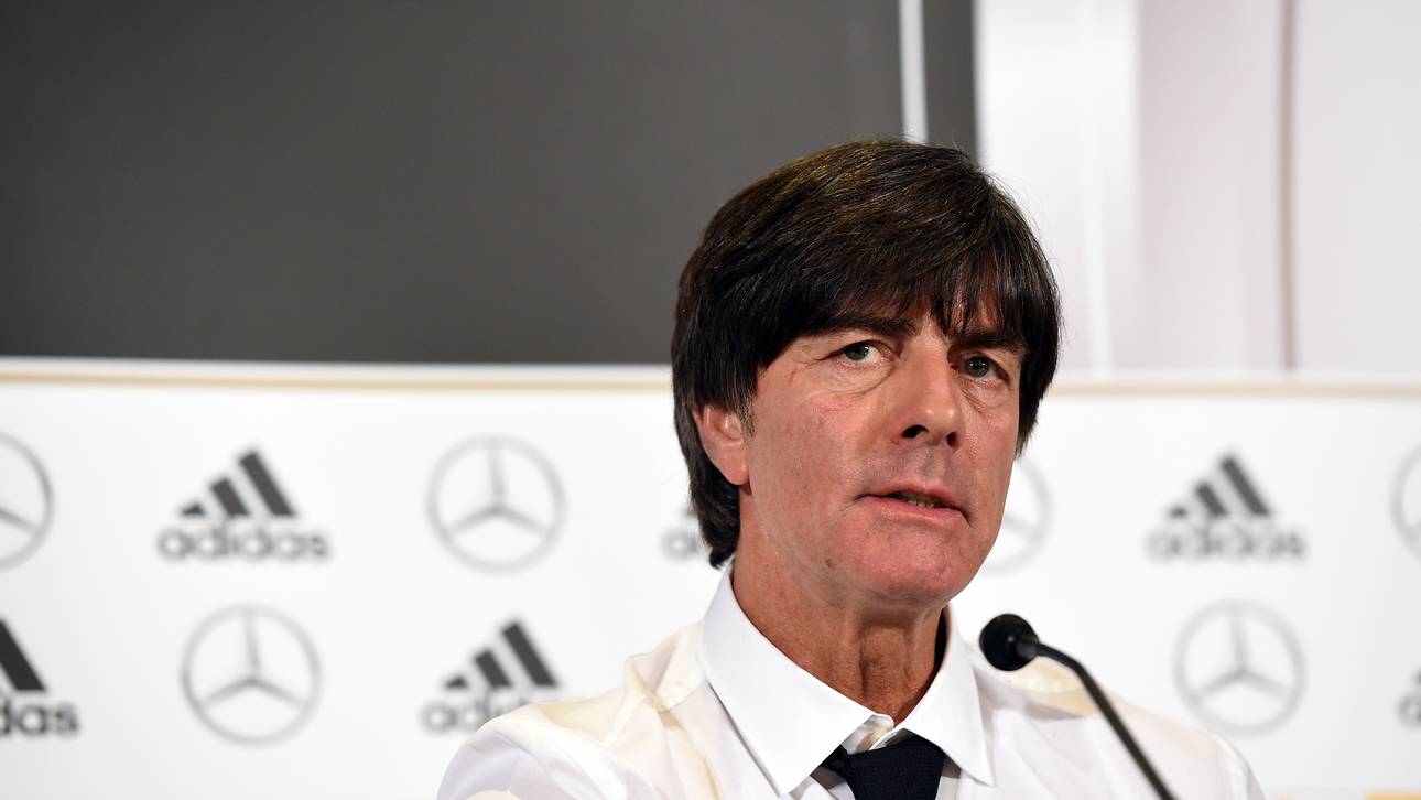 Löw zieht positives Jahresfazit