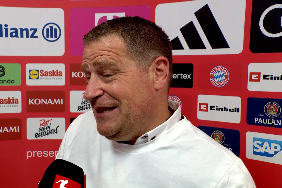 Max Eberl spricht über die Gerüchte über mögliche Neuzugänge beim FC Bayern. Er spricht unter anderem über Leverkusens Wirtz.