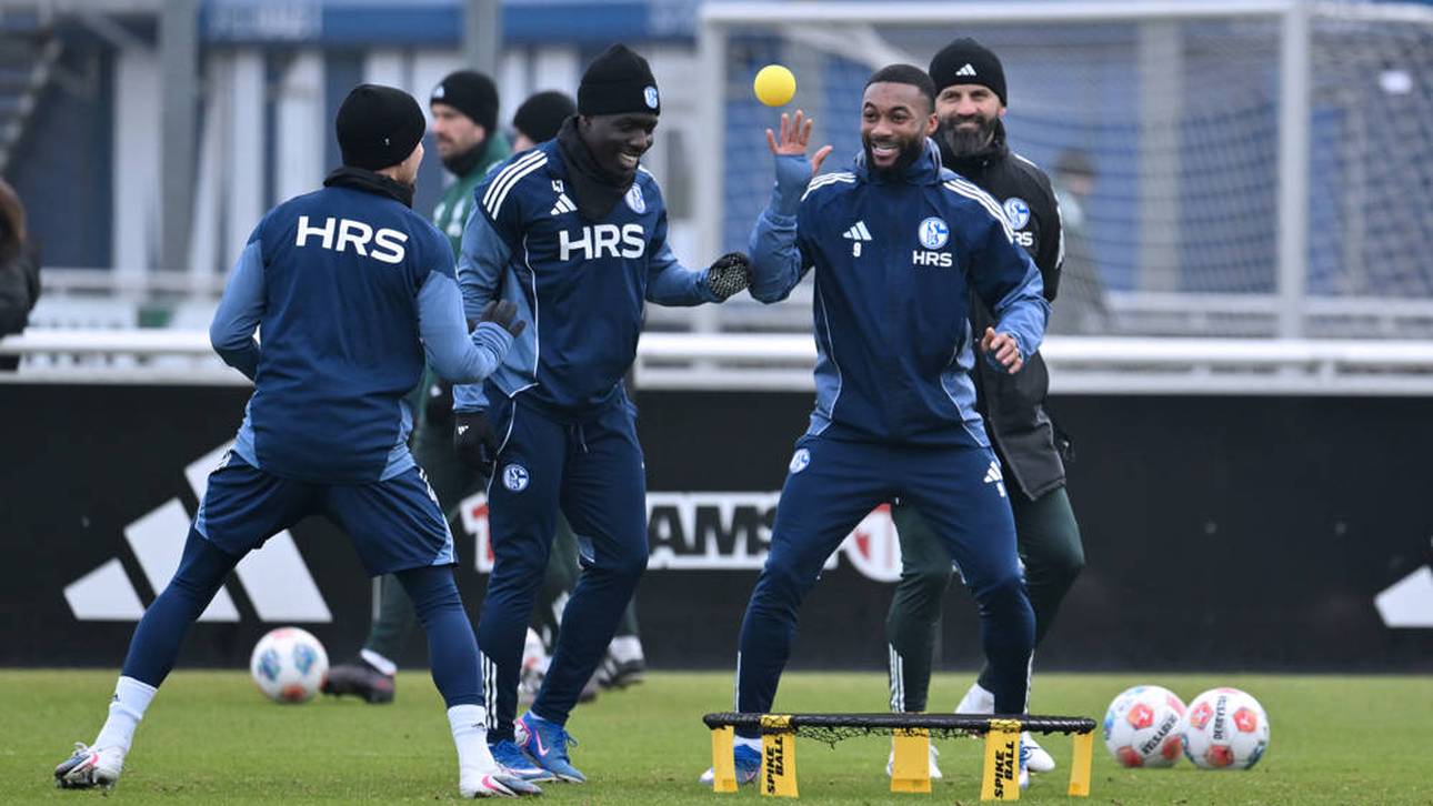 Woher hat Schalke das Geld?