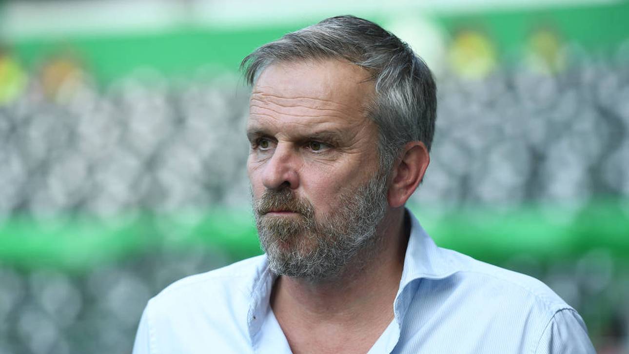 Hamann-Wutrede live im TV!