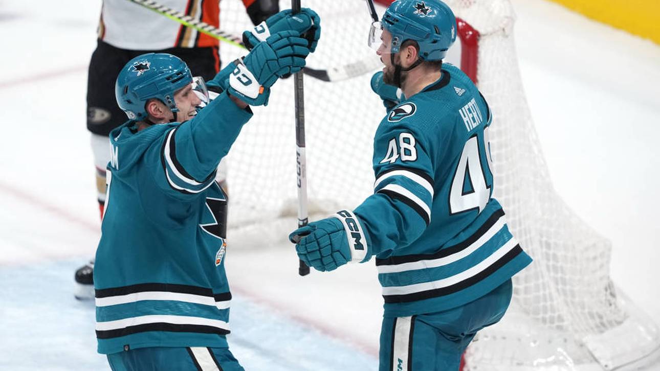 Aufwärtstrend bei Sturms Sharks hält an