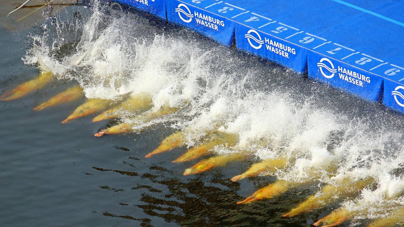 Triathlon-WM: Zwölf deutsche Athleten im Finale