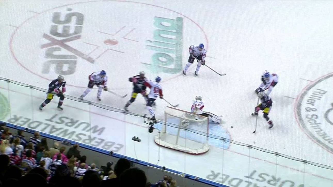 Eisbären ringen Adler nieder