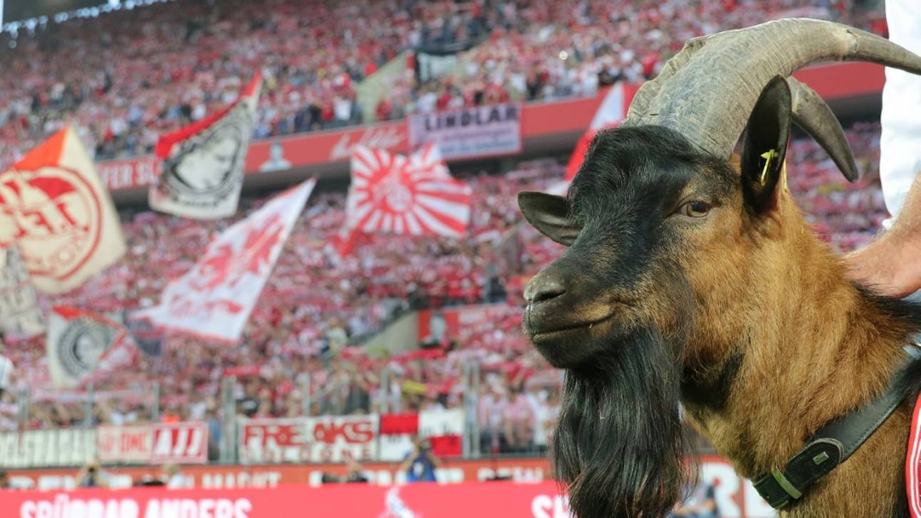 Wer Kölns Hennes knapp abhängt