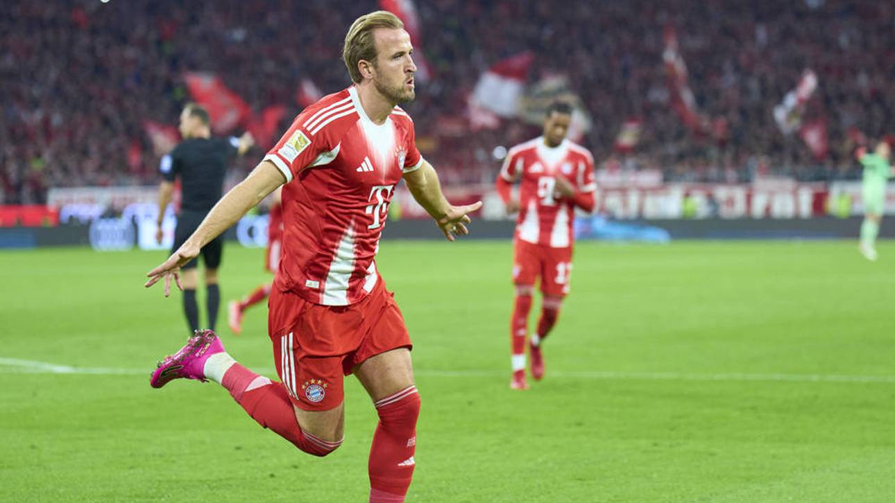 Kane-Form: „Das ist Wahnsinn“