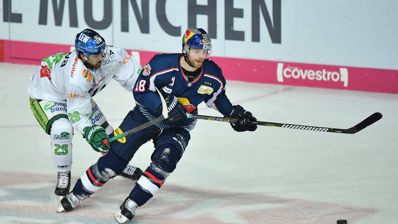 Sport-Tag: DEL-Kracher LIVE