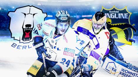 Eishockey, DEL: Eisbären Berlin - Krefeld Pinguine LIVE im TV & Stream
