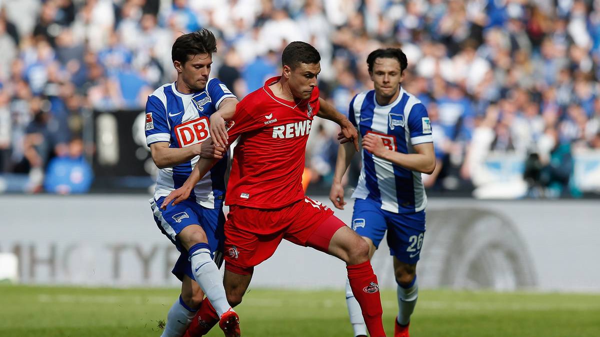 Kölns Jonas Hector (M.) erzielte am 28. Spieltag ein Traumtor zum Sieg gegen Hoffenheim. In Berlin wird er von Valentin Stocker gestört