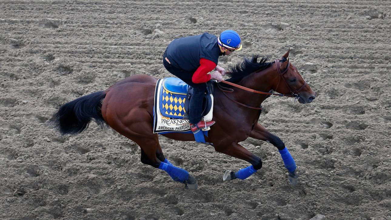 American Pharao winkt Triple Crown