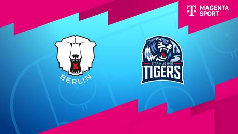 Eisbären Berlin - Straubing Tigers: Tore und Highlights | PENNY DEL