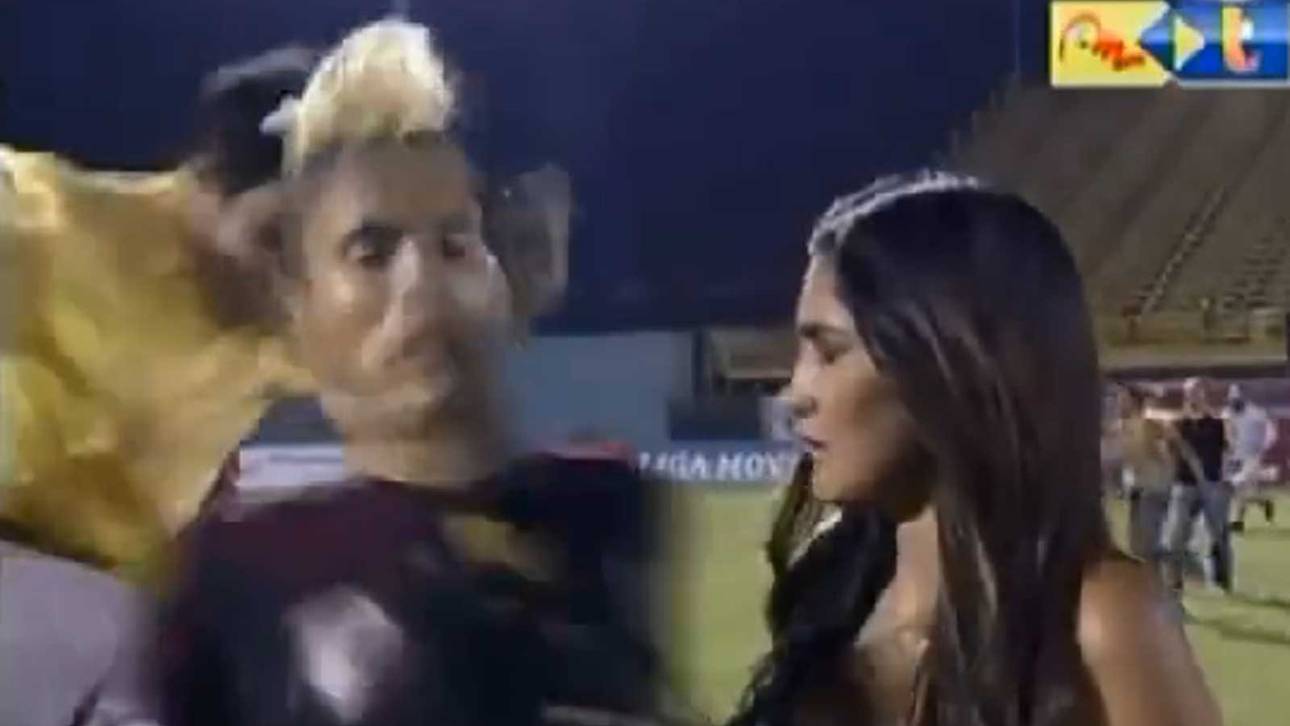 Fan tritt Spieler nieder