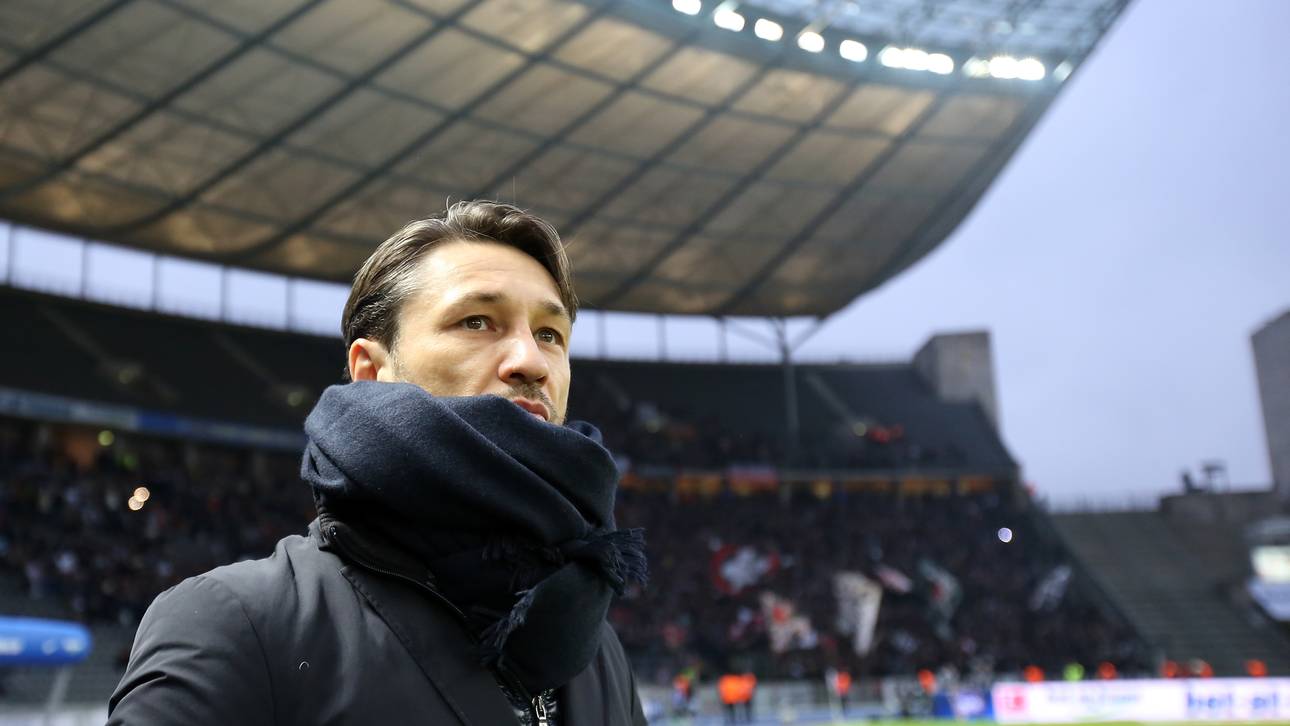 Hertha BSC treibt Stadionpläne voran