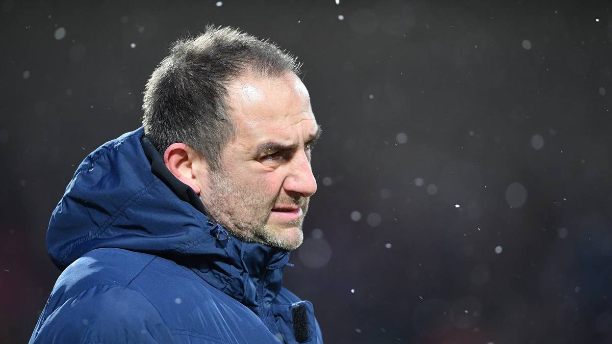 FRANK SCHMIDT (1. FC Heidenheim): "Der HSV und Köln sind zwei fußballerische Schwergewichte, die eigentlich in die Bundesliga gehören. Sie bringen überdurchschnittlich viel Erfahrung und Qualität mit. Das Verfolgerfeld dahinter erwarte ich nochmals enger beisammen"