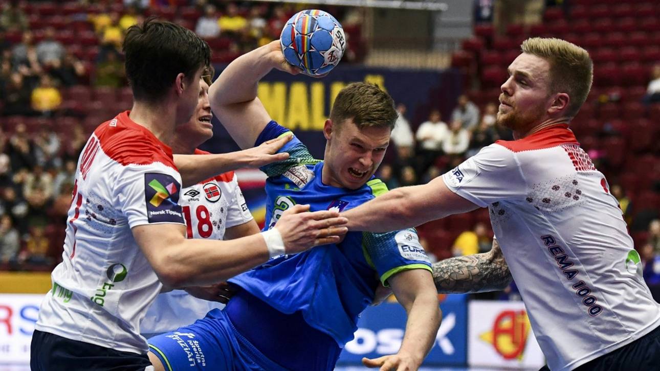 Löwen ziehen Horzen-Transfer vor