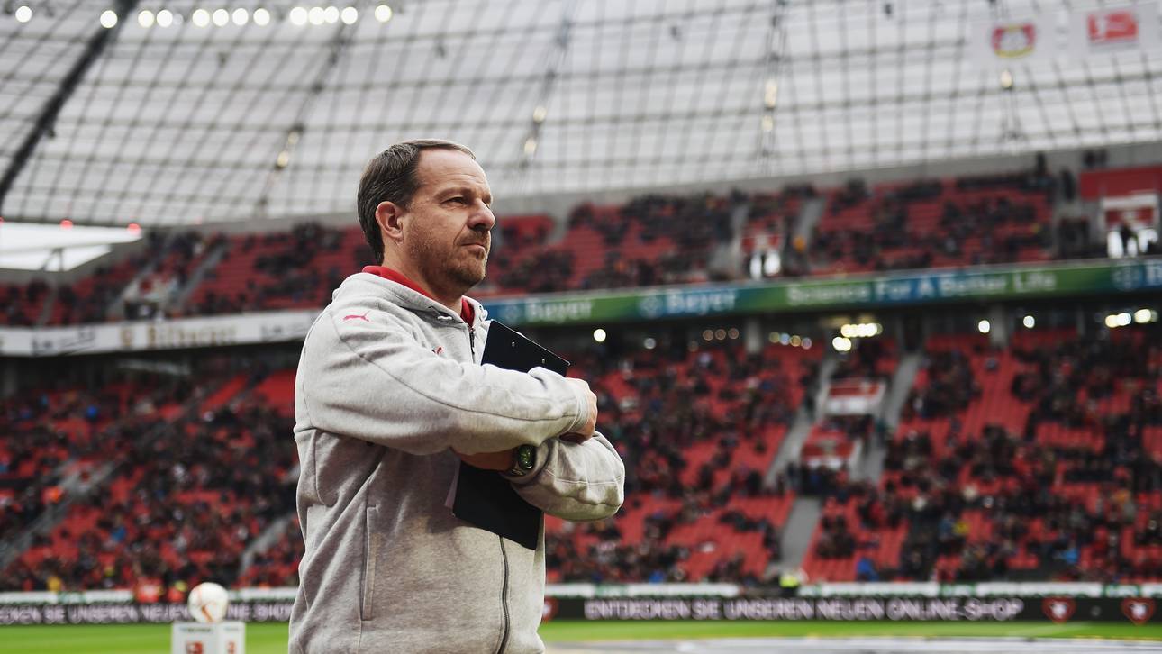 Zorniger: Halsstarrig ins Verderben