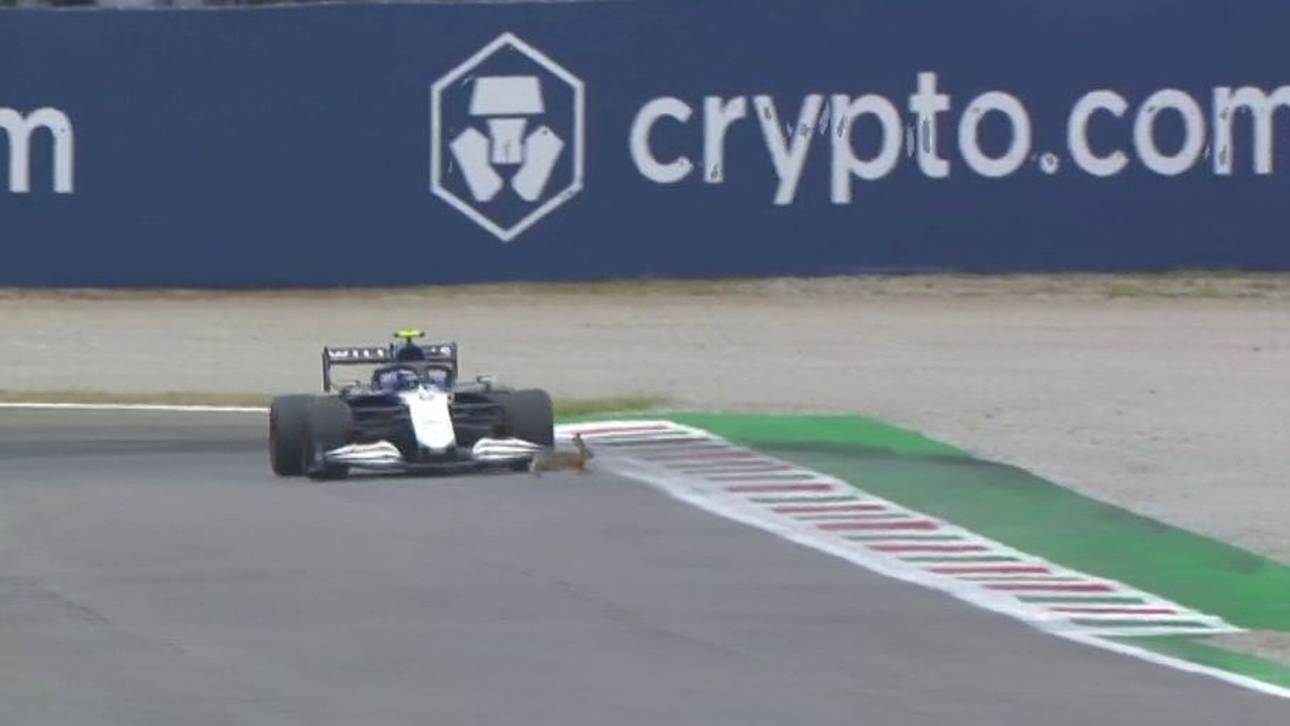 Tierische Schrecksekunde bei Formel 1