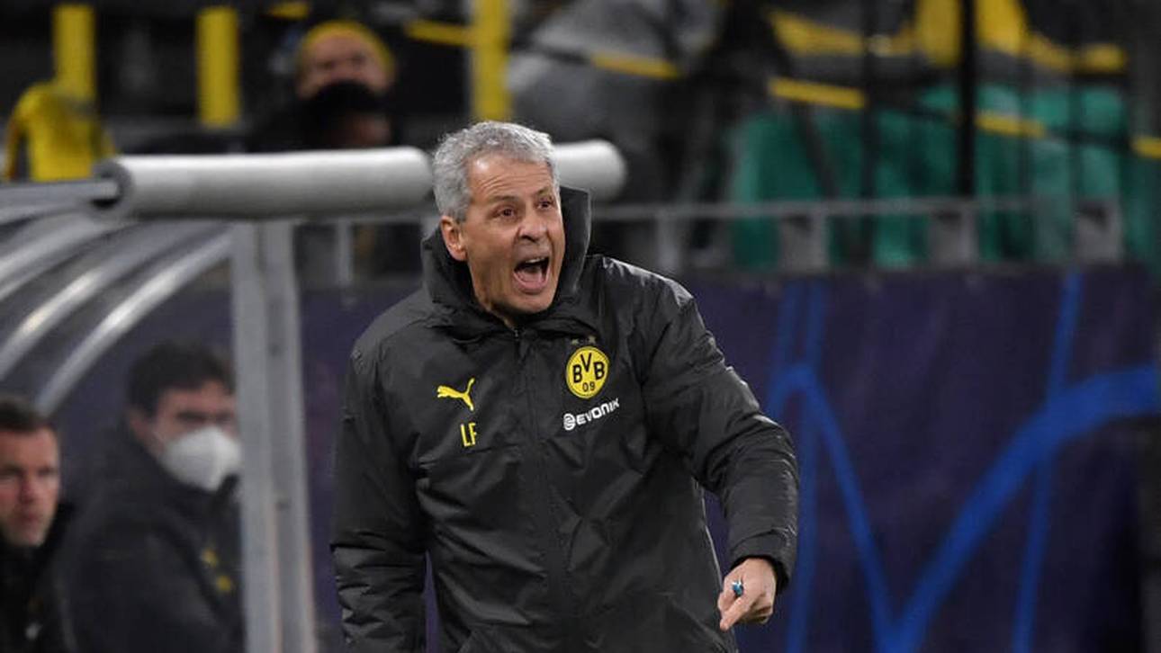 Wie Favre den BVB zum Sieg brüllte