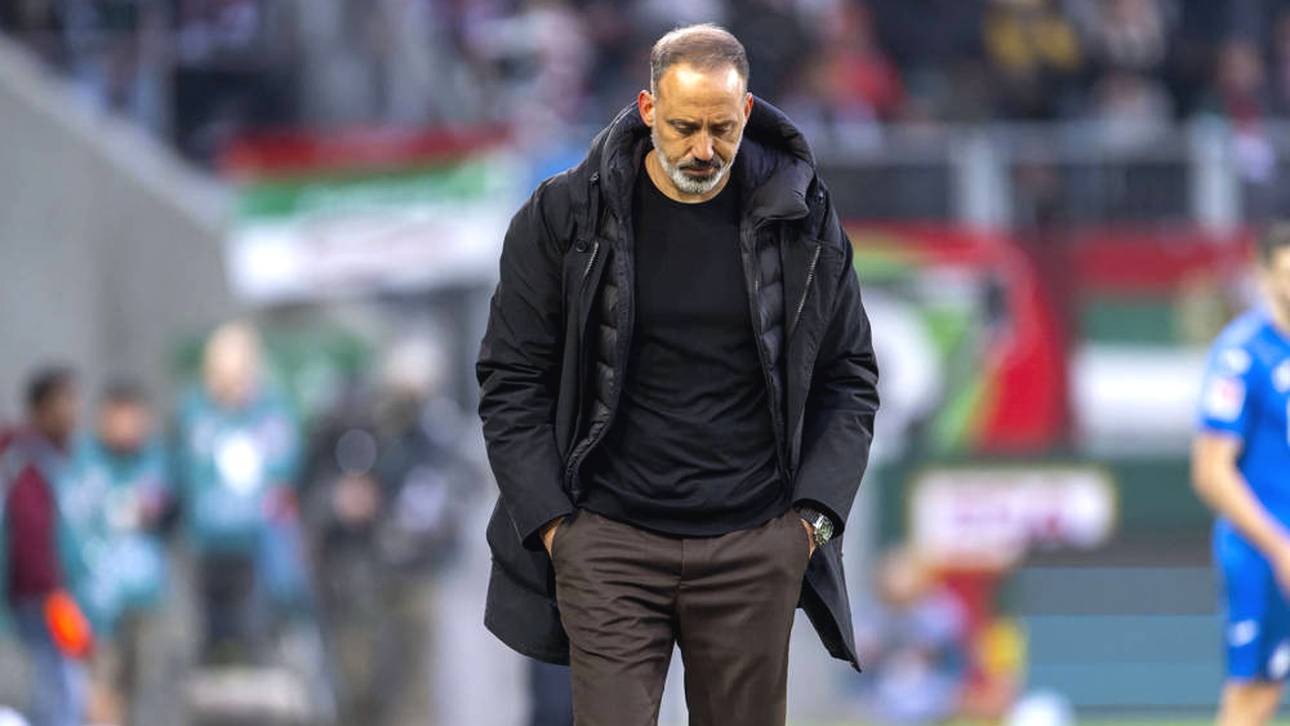 Medien: TSG trennt sich von Matarazzo