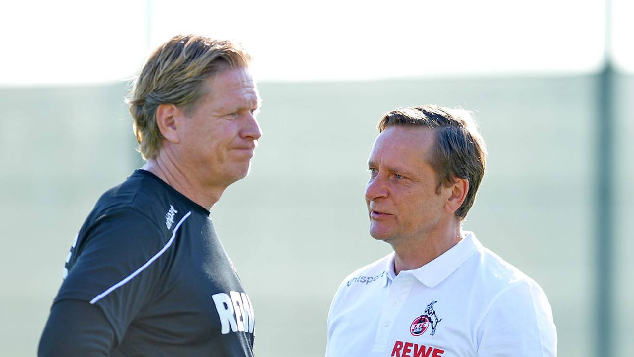 Heldt skizziert Kölns Rettungsplan