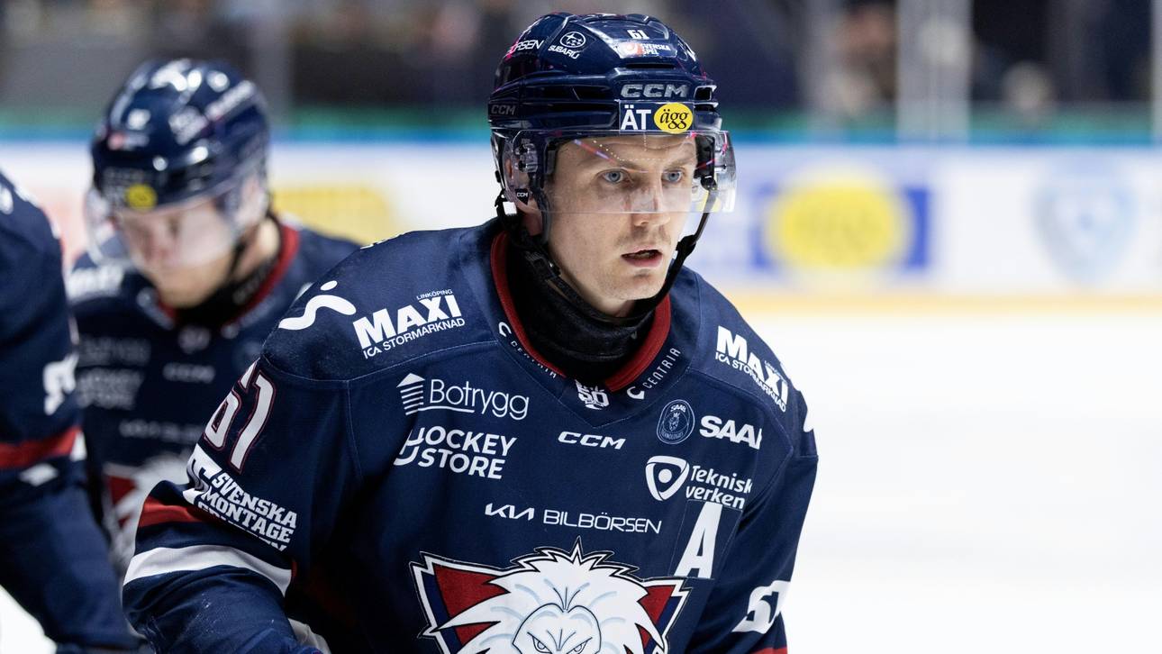 Kölner Haie verpflichten neuen Stürmer