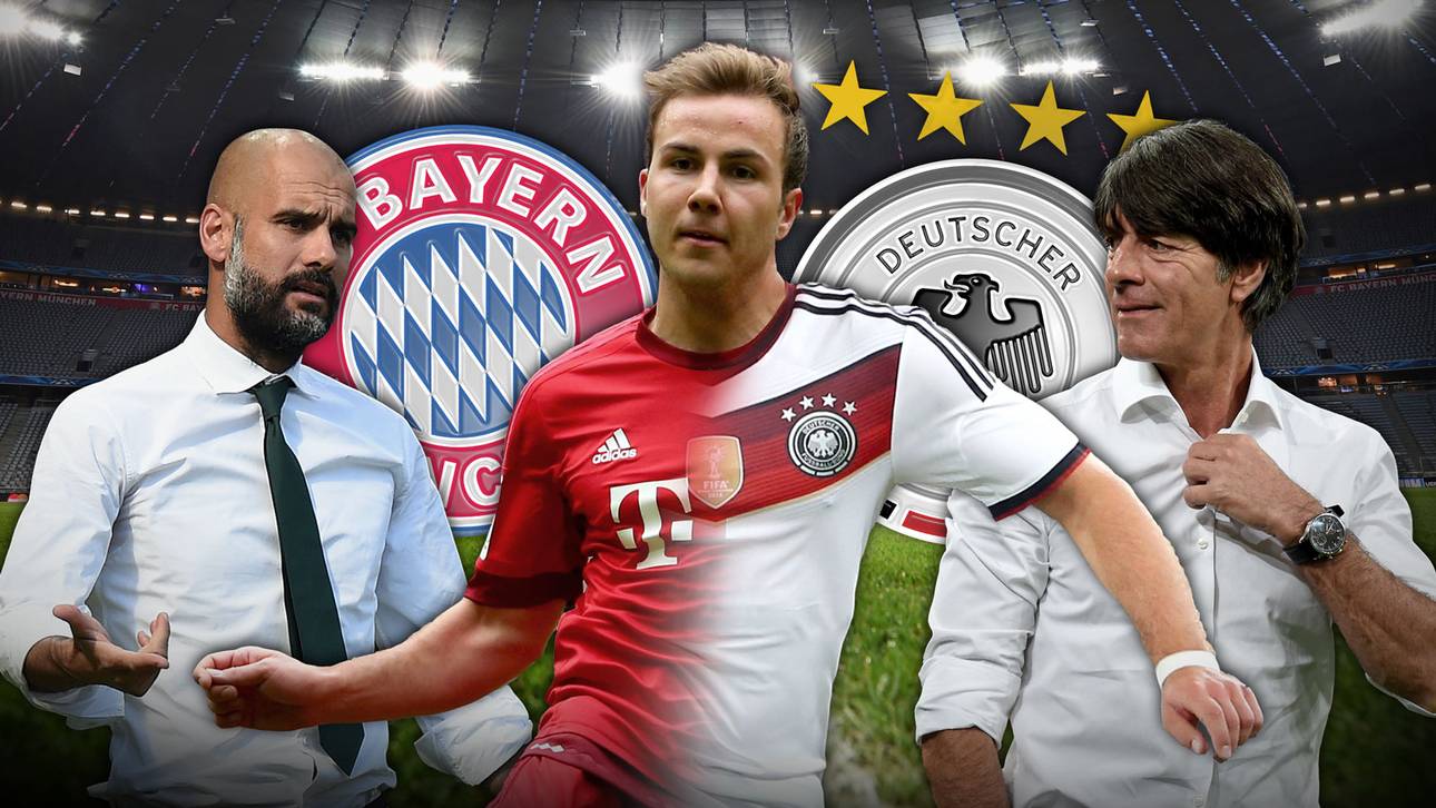 Nestwärme für den sensiblen Star