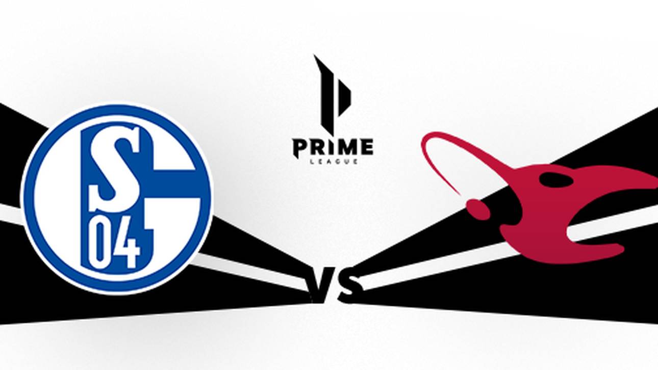 Vorschau aufs Prime-League-Finale