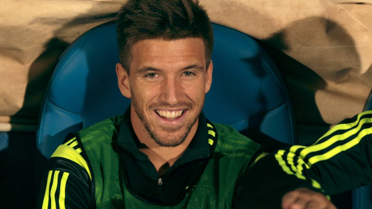 Fix! Wölfe regeln Gustavo-Nachfolge