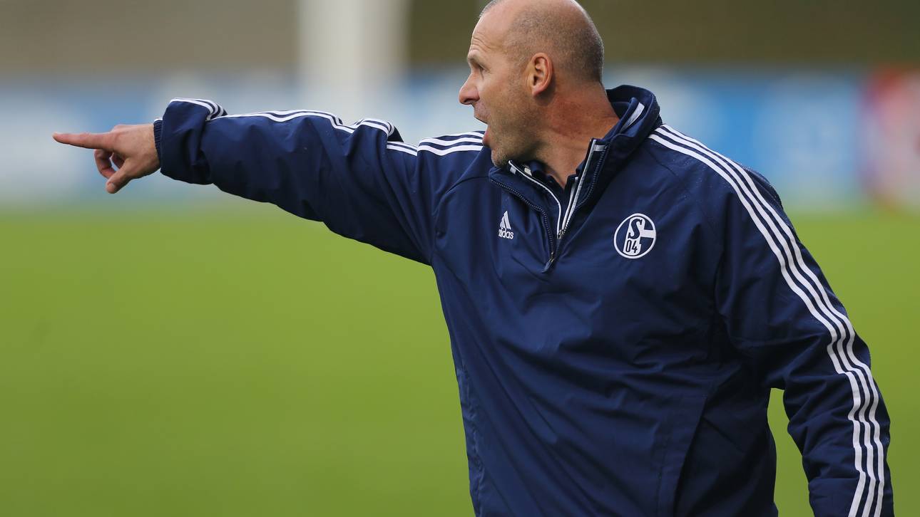 Trares wird Co-Trainer beim HSV