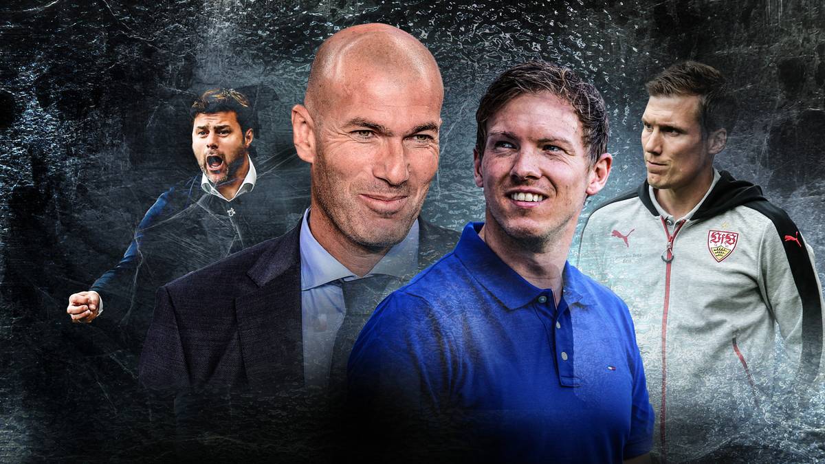 Julian Nagelsmann, Domenico Tedesco und Hannes Wolf heißen die jüngsten Trainer der Bundesliga. Während Nagelsmann die TSG Hoffenheim bereits in der vergangenen Saison auf Platz vier geführt hat, müssen sich seine Kollegen aus Schalke und Stuttgart nun in der höchsten Spielklasse beweisen