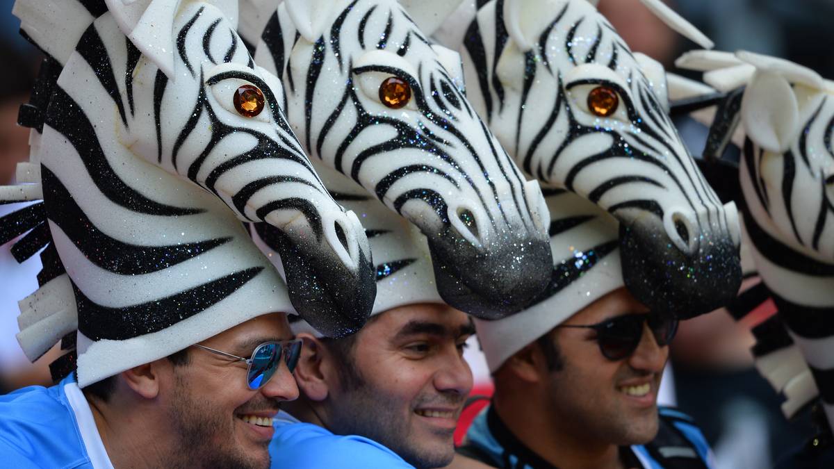 Eigentlich lautet der Spitzname des argentinischen Teams Los Pumas, warum sich also diese argentinischen Fans für eine Kopfbekleidung in Form eines Zebrakopfes  entschieden haben bleibt ihr Geheimnis