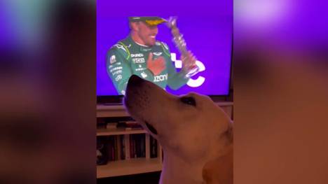 Formel-1-Legende Fernando Alonso sicherte sich im zweiten Rennen der Saison den zweiten Podestplatz. Freundin Andrea Schlager und Hund Bhodi fieberten von der Couch aus mit.