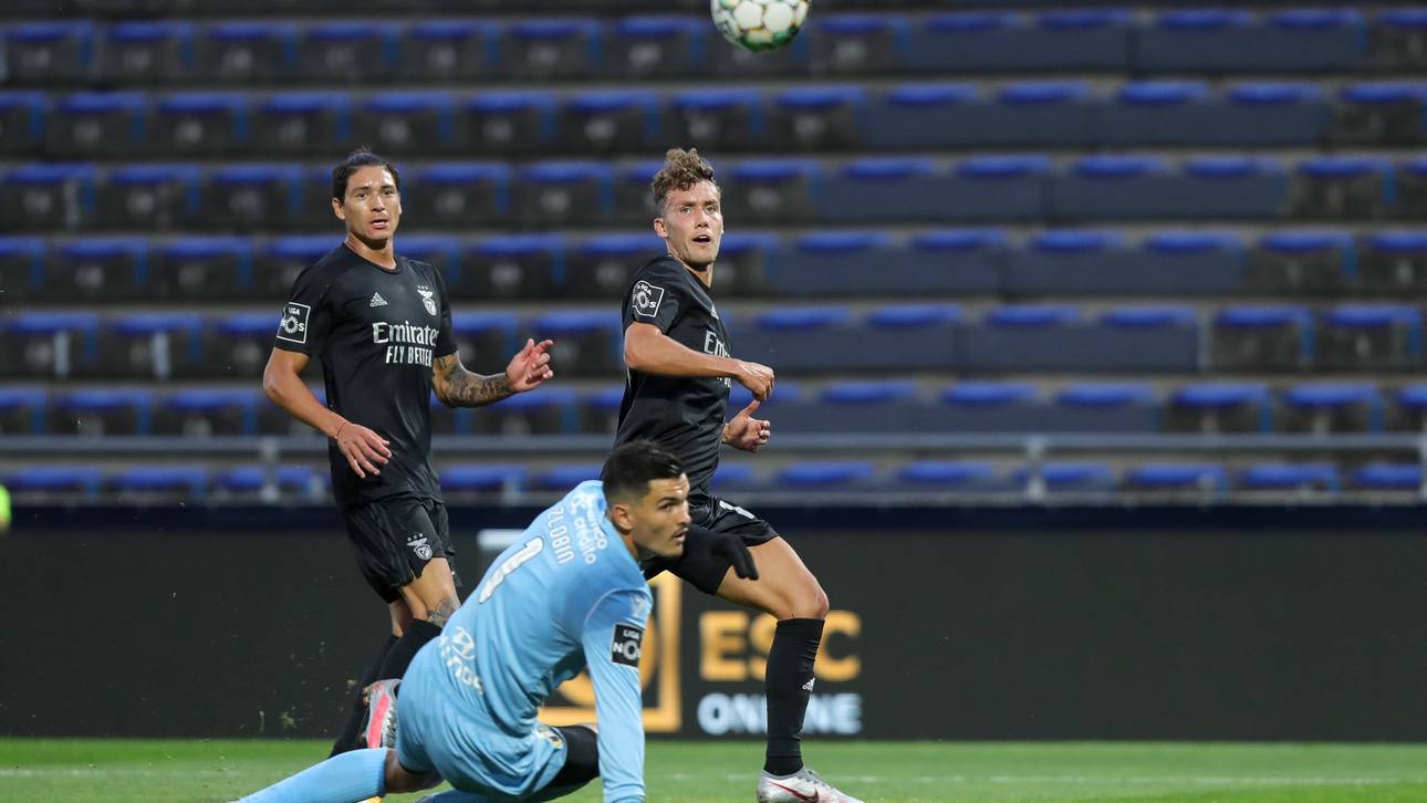 Waldschmidt-Sturm stark ohne Worte