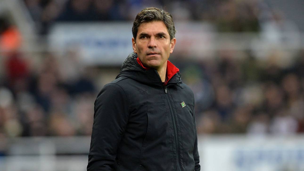 Neuer Job für Coach Pellegrino