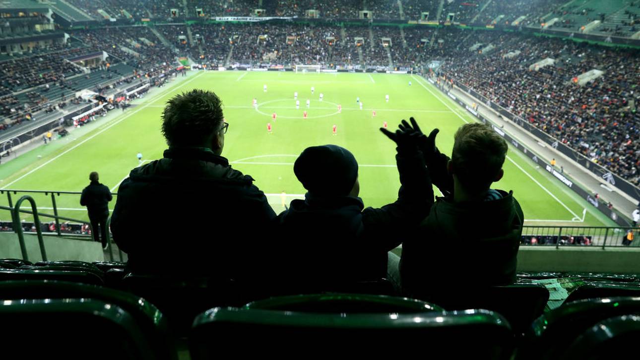 Wie gewinnt der DFB die Fans zurück?