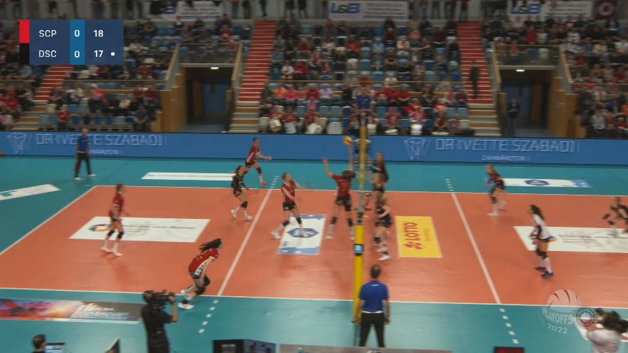 Volleyball Bundesliga: Potsdam schlägt Dresden in Playoffs-Halbfinale