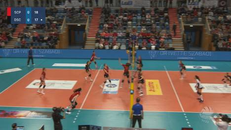 Der SC Potsdam zieht erstmals in seiner Vereinsgeschichte ins Playoff-Finale ein. Gegen Dresden brauchte es dafür einen lange Atem und ein spektakuläres Zuspiel.