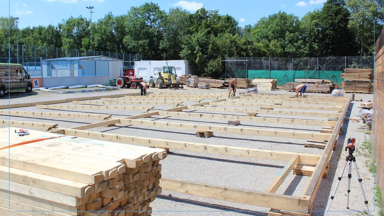 Löwen bauen VIP-Almhütte