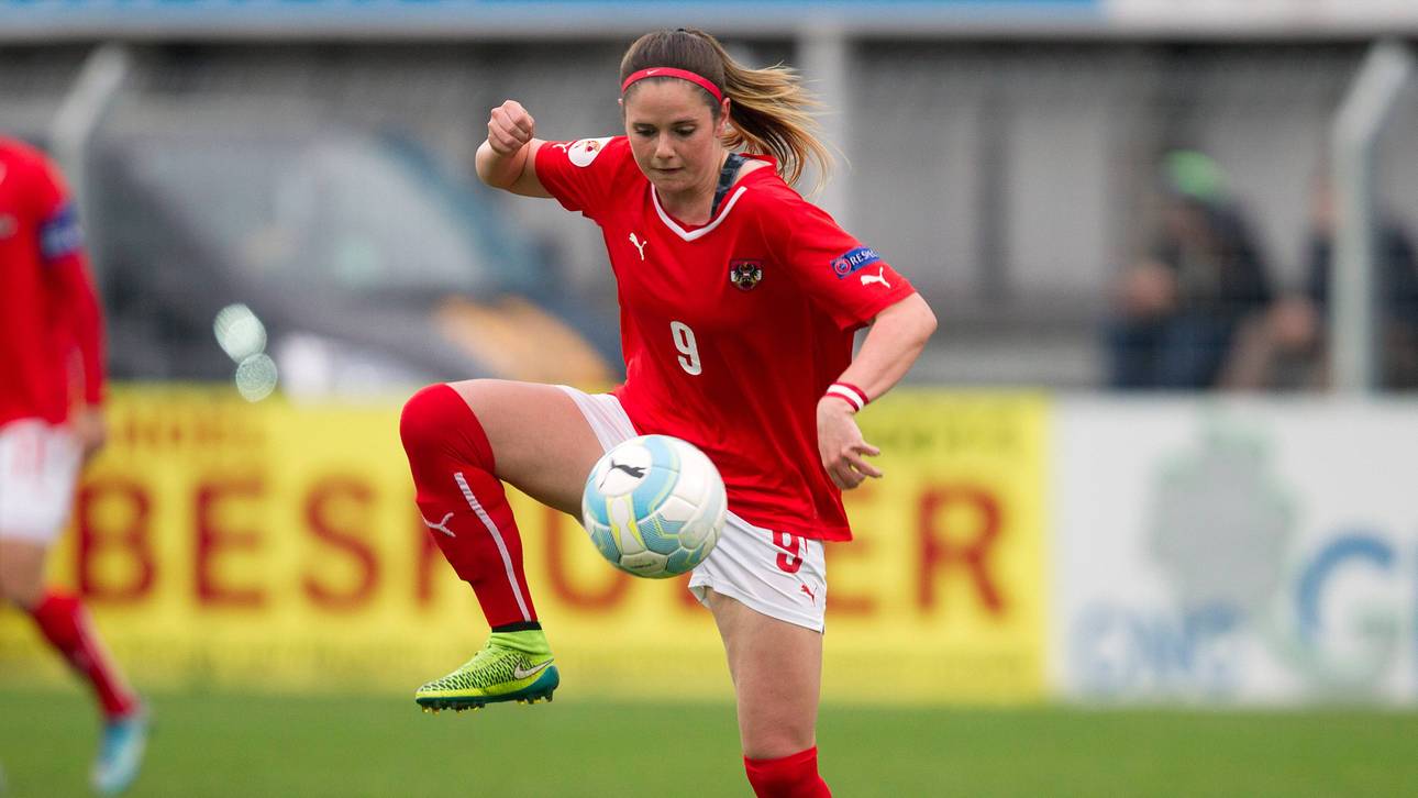 Potsdam verpflichtet Zadrazil