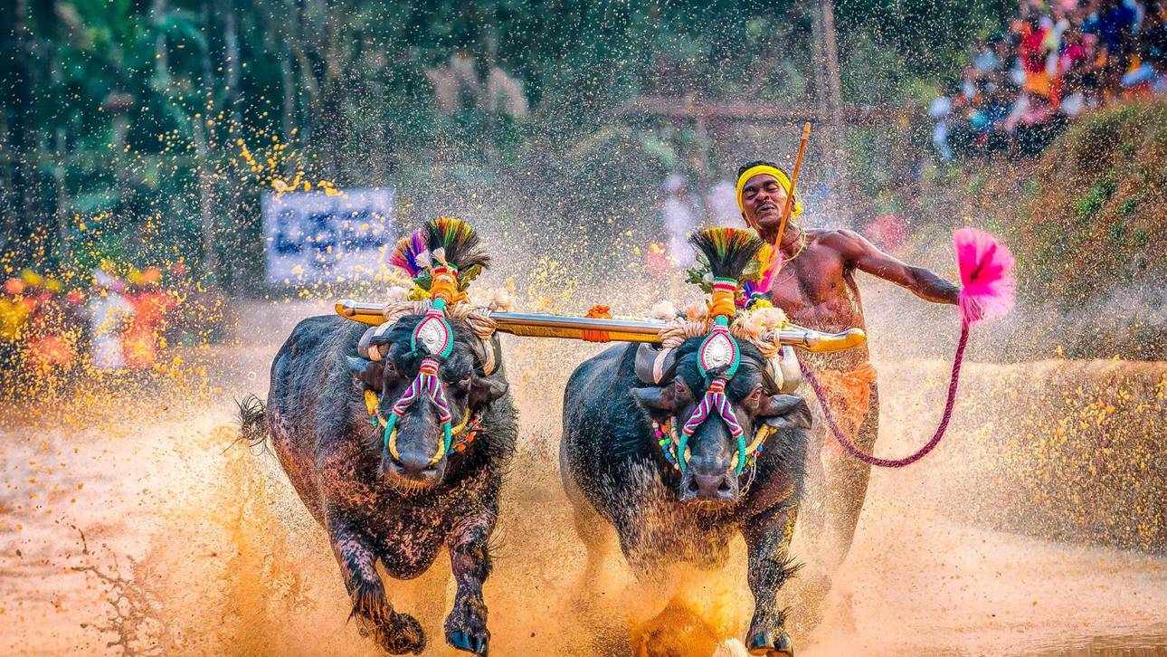 Schneller als Bolt! Hype um Inder