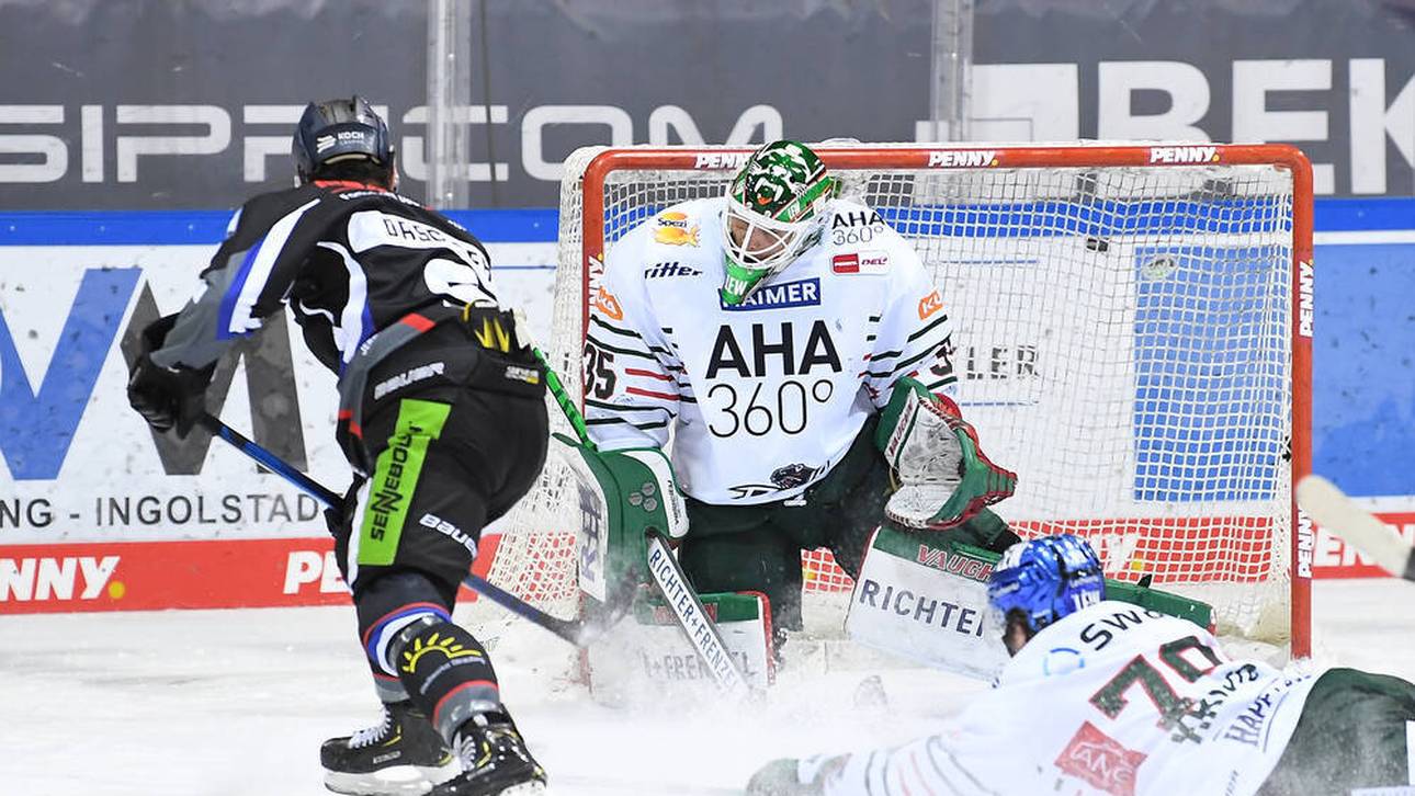 DEL: Augsburg verliert erneut