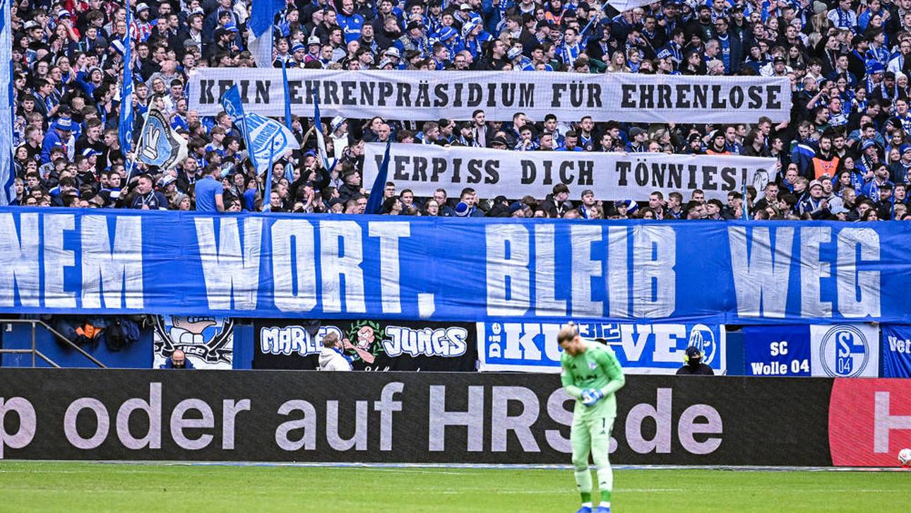 Großer Zoff auf Schalke