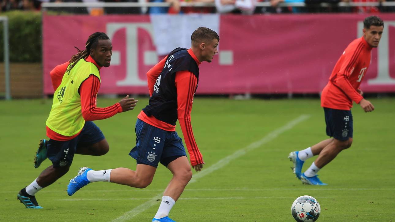 Cuisance: Störenfried oder Topstar?