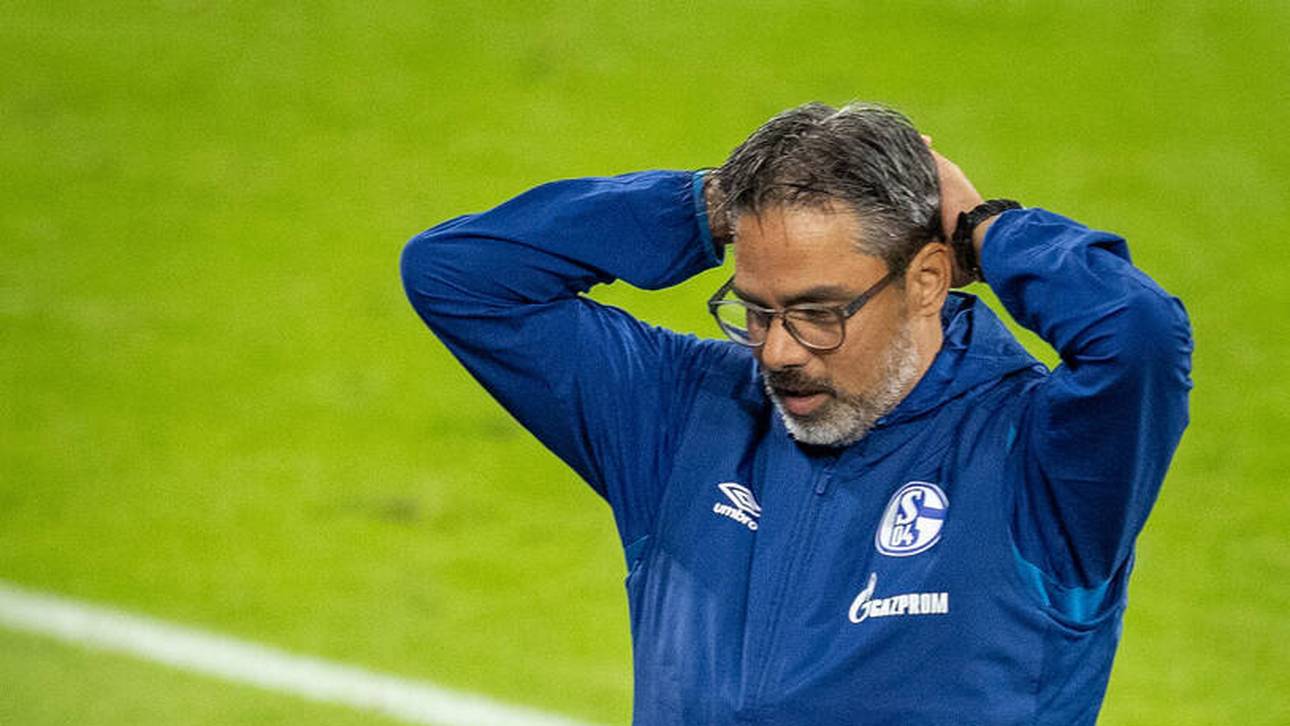 Umfrage: Wer kann Schalke retten?