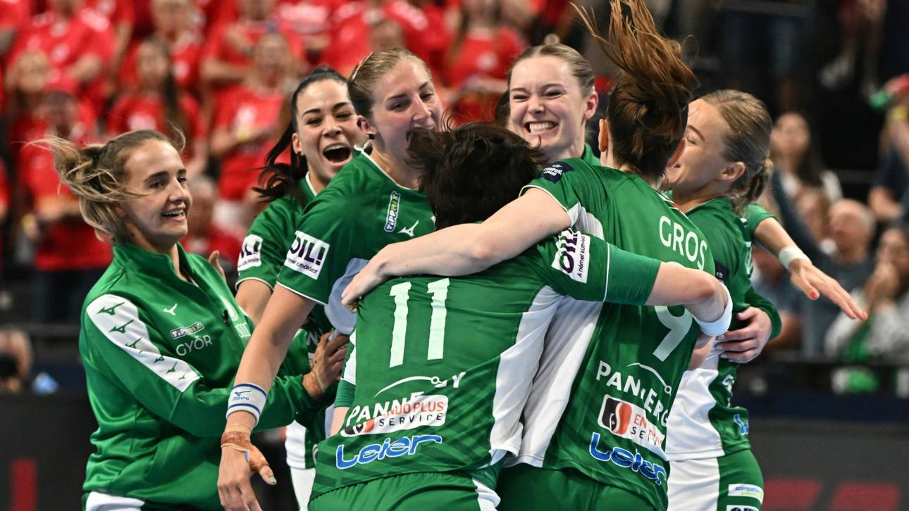 Final-Pleite für Ludwigsburg