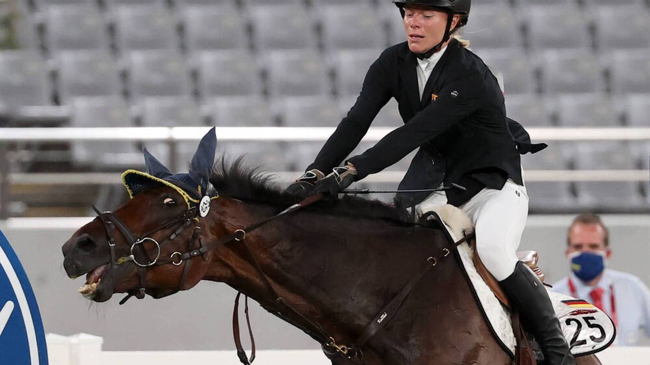 Schleu: So geht es dem Pferd “Saint Boy”