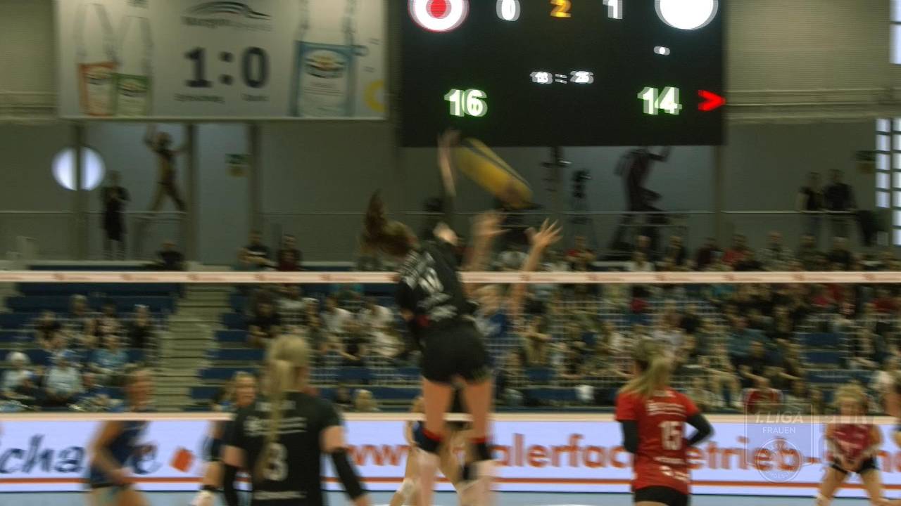 Volleyball Bundesliga: Dresdener SC schlägt VC Wiesbaden in den Playoffs