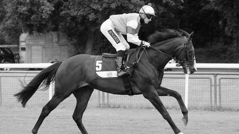 Filip Minarik beim Aufgalopp in Hannover 2020