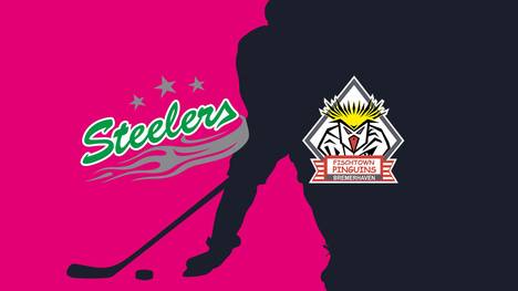Bietigheim Steelers - Pinguins Bremerhaven: Tore und Highlights | PENNY DEL