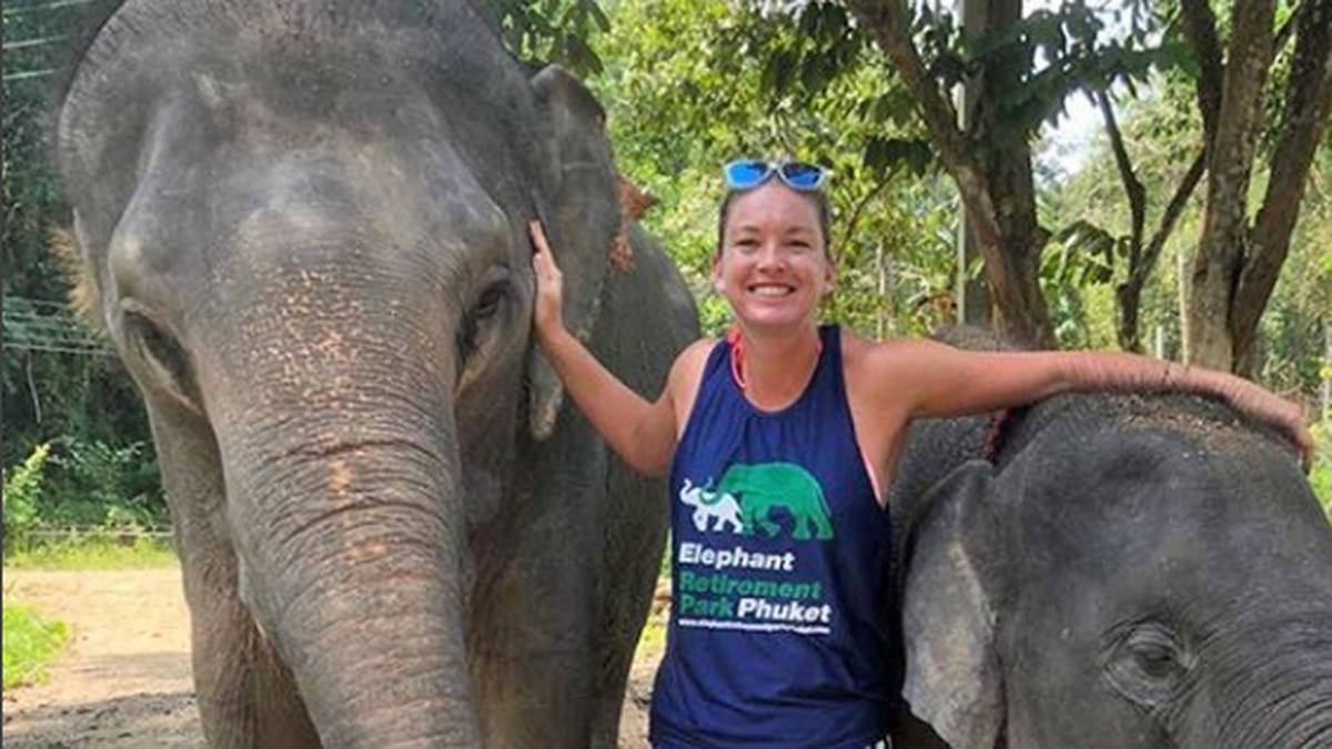 ... und nimmt dabei wirklich das gesamte Abenteuer mit